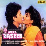 Mera Naseeb - Dilraj Kaur Song Download